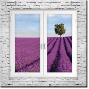 lawenda fototapeta