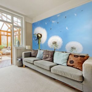 foto-tapeta z nasionami