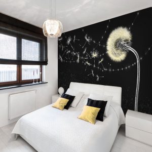 fototapeta dmuchawce