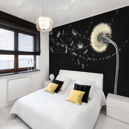 fototapeta dmuchawce