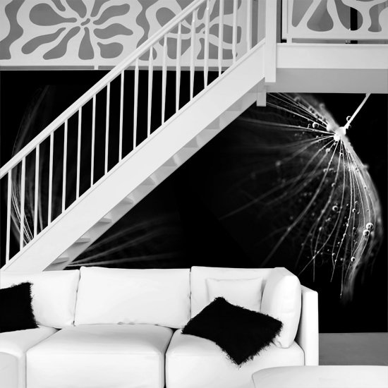 fototapeta dmuchawce