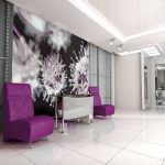 fototapeta kwiat czosnku