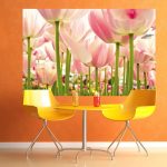 fototapeta różowe tulipany