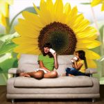 fototapeta słonecznik