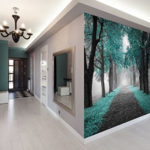 Fototapety do przedpokoju
