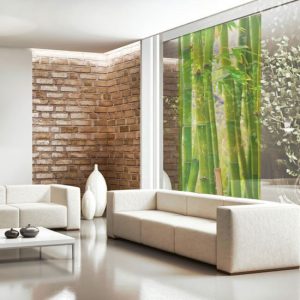 fotomgła bambusy