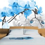 fototapeta błękitna orchidea