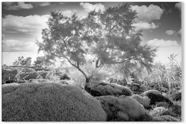 ozdoba ścian do salonu