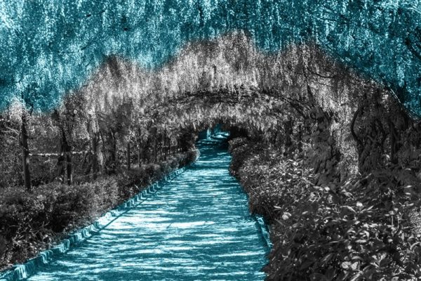 tapety z przejściami