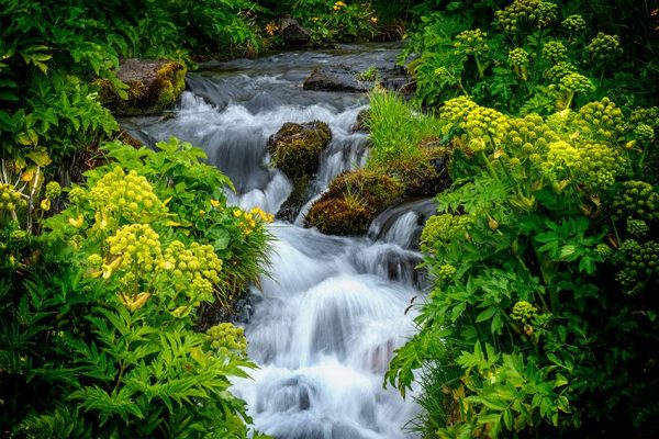 nowoczesne wzory tapet