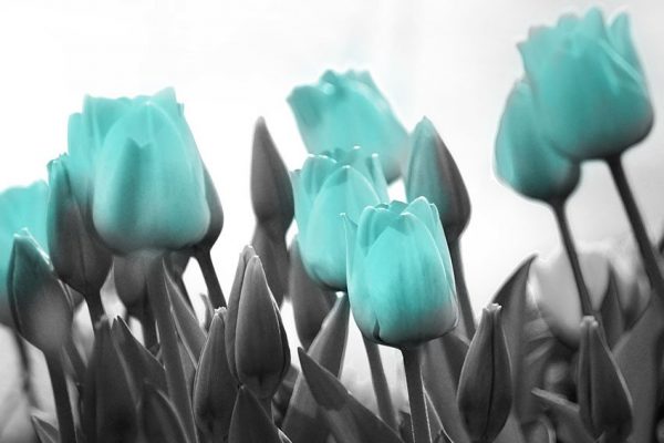 nowoczesne tapety na ściany