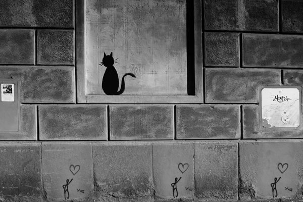 nowoczesne wzory tapet