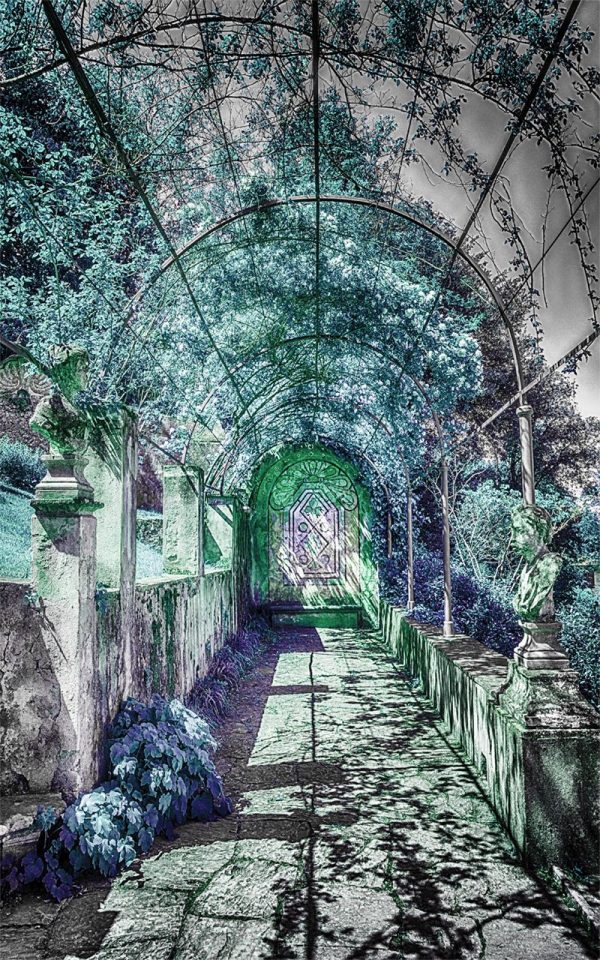 tapeta z przejściem