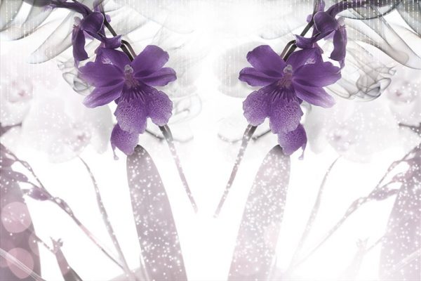 tapeta fioletowe kwiaty