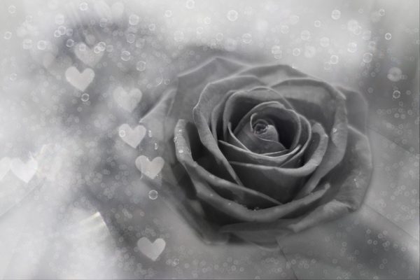 ozdoba ścian do salonu