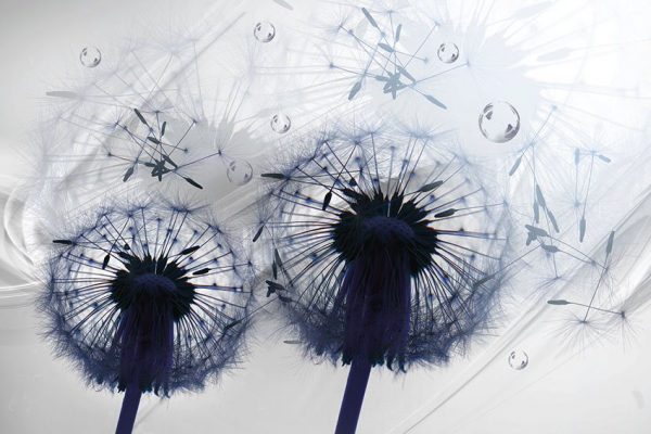 ozdoba ścian do salonu