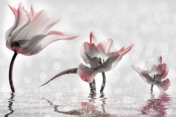 tapeta trzy tulipany