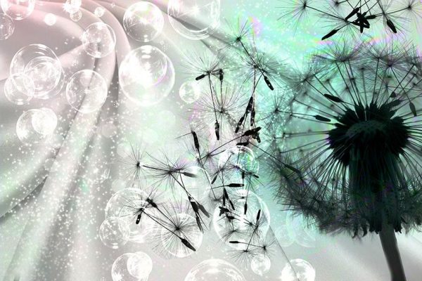 ozdoba ścian dmuchawce