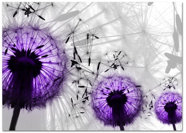 dekoracje z roślinami