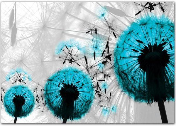 plakaty z roślinami