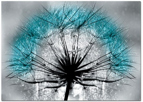 plakaty z dmuchawcem