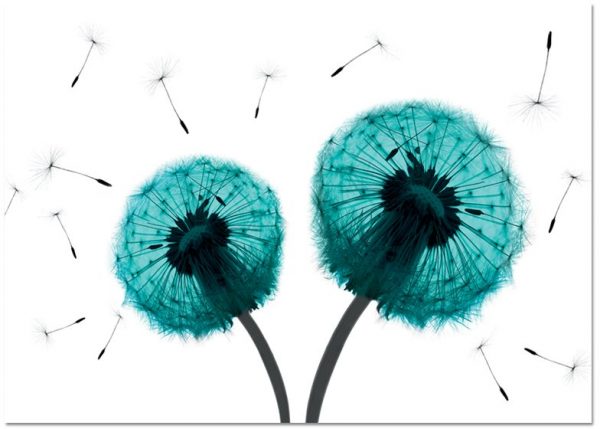 plakaty z dwoma dmuchawcami