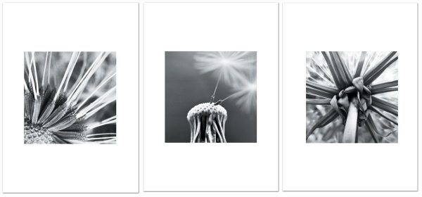 tryptyk z dmuchawcami