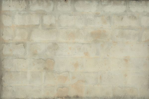 fototapeta w stylu loft