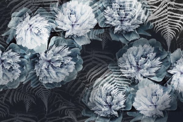 liście i piwonie na fototapecie