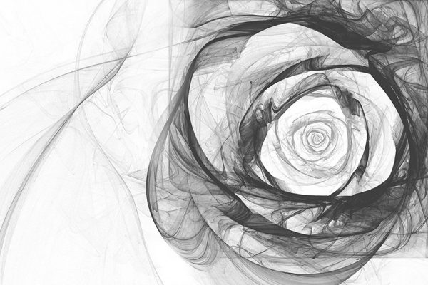 tapeta z dymną różą