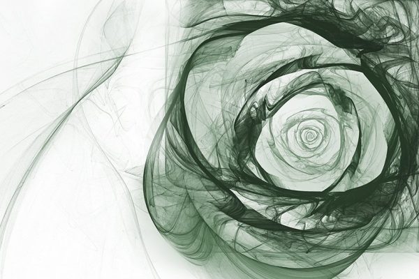 tapeta z dymną różą