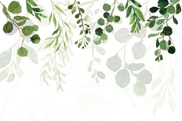 tapety z zielonymi gałazkami