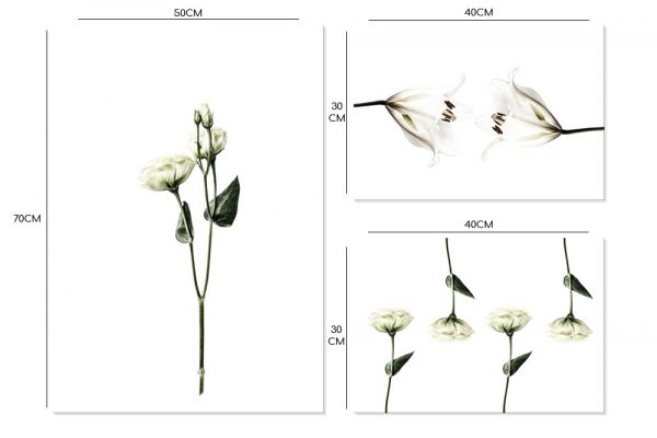 piękne plakaty z kwiatami