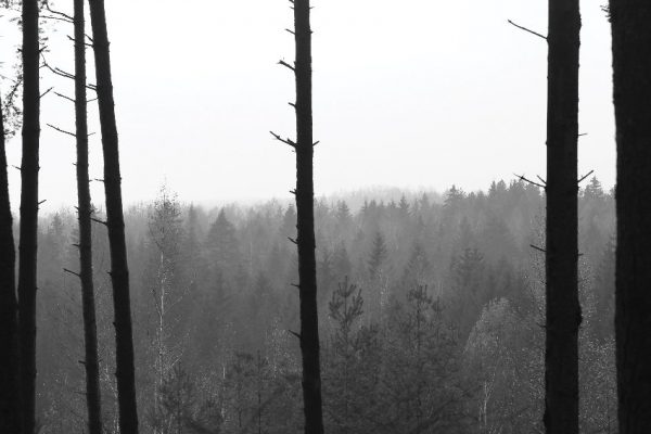 fototapeta do sypialni