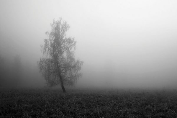 dekoracja z pejzażem