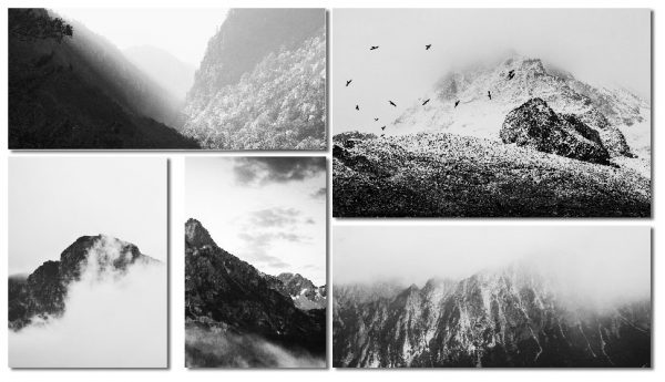 obrazy czarno-białe