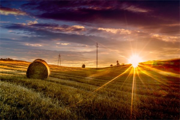 zachodzące słońce