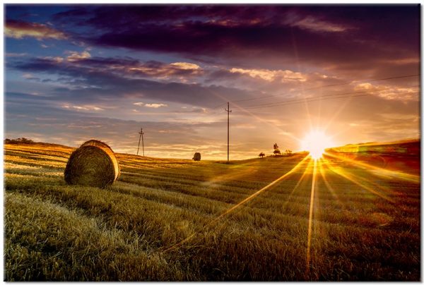 pole i zachód słońca na obrazie