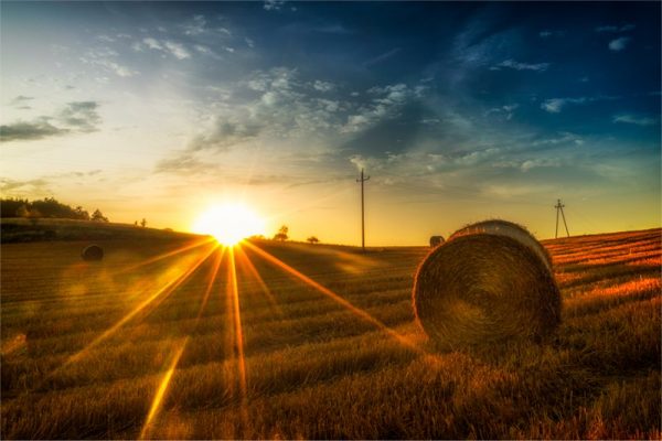 plakat ze stogiem siana i słońcem