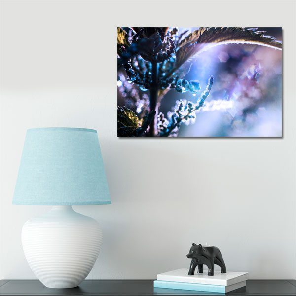 obrazek i ciemna pokrzywa