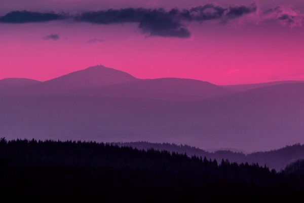 odcienie różu na tapecie