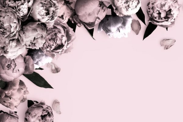 tapeta do domu różowa