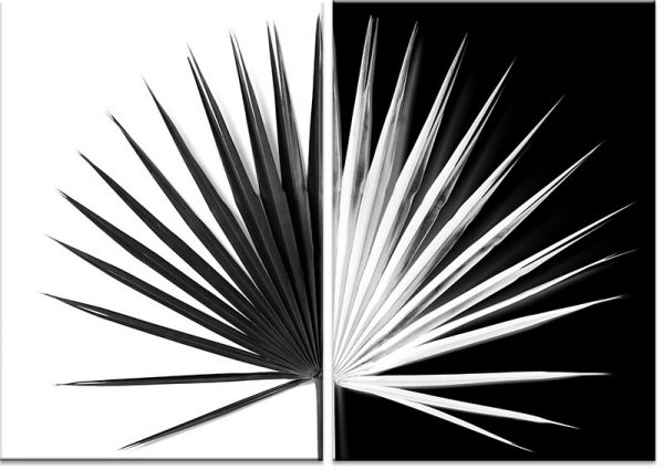 biało-czarny dyptyk w łazience z palmą