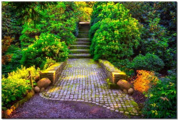 obraz z drogą i roślinami