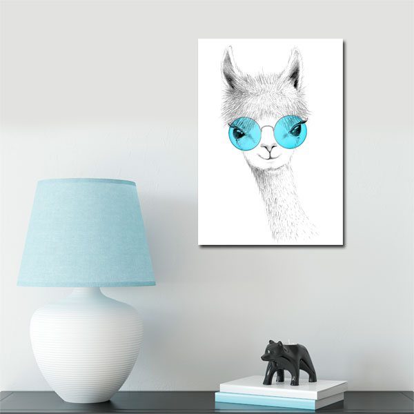 lama w okularach do salonu