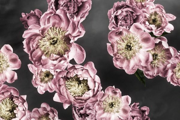 tapeta czarno-różowo-żółta