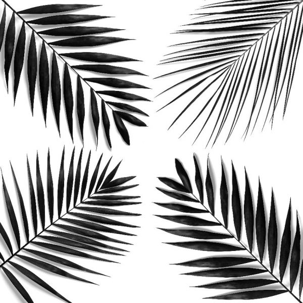 kwadratowa tapeta z palmami