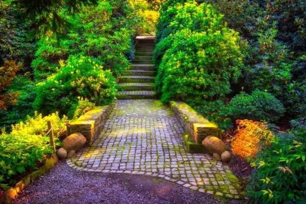 kolorowa fototapeta z drogą i schodami