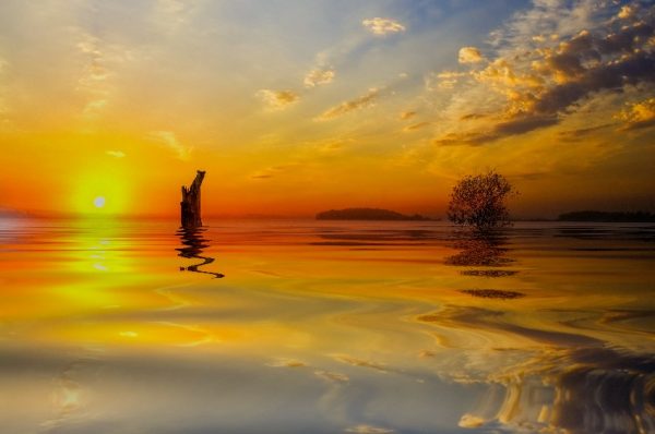 ciepłe kolory na tapecie