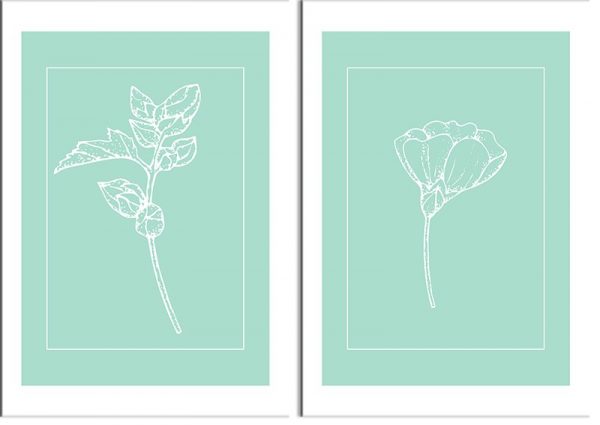 białe kwiaty na tle turkusu